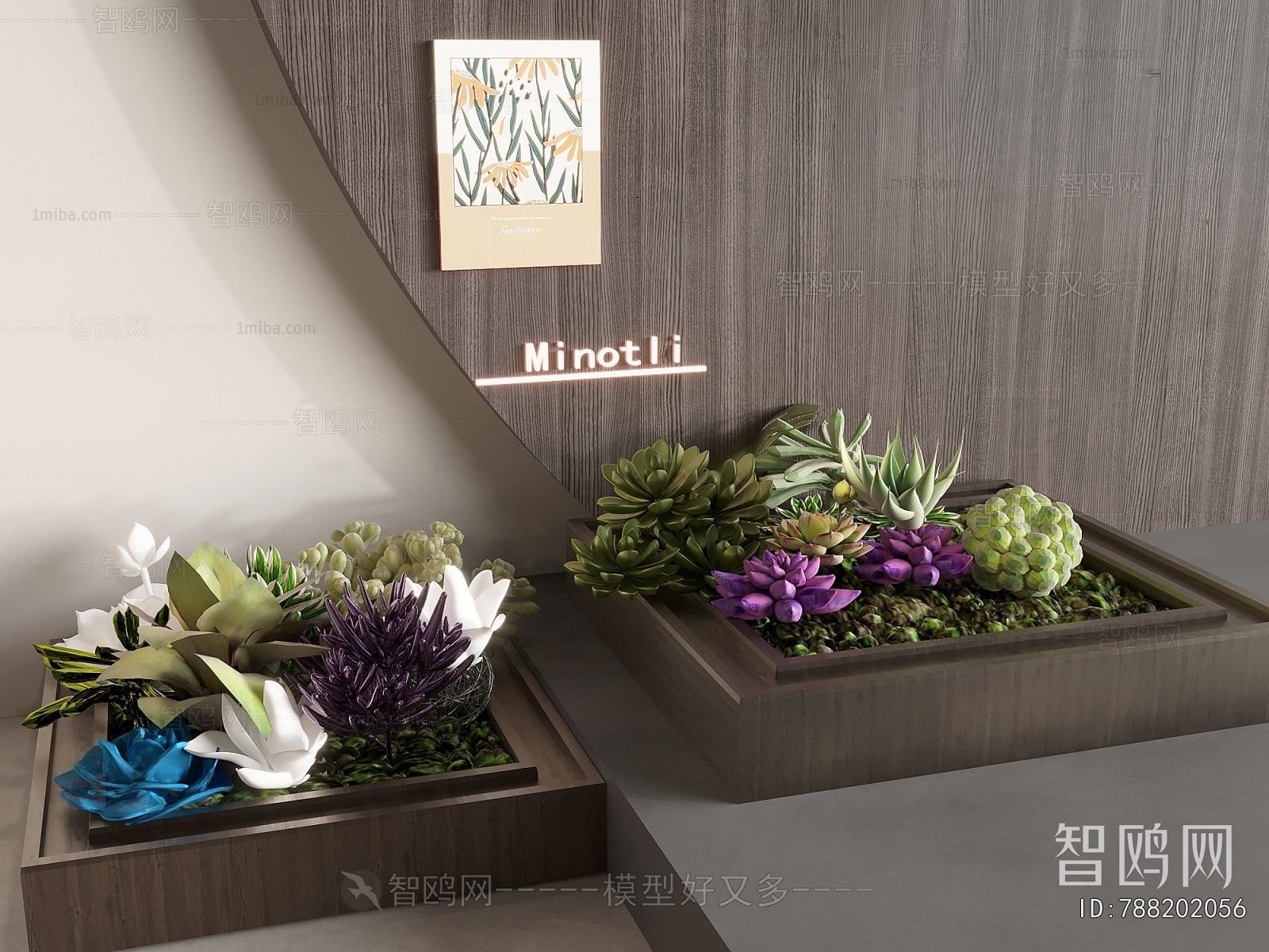 Modern Plant Landscaping