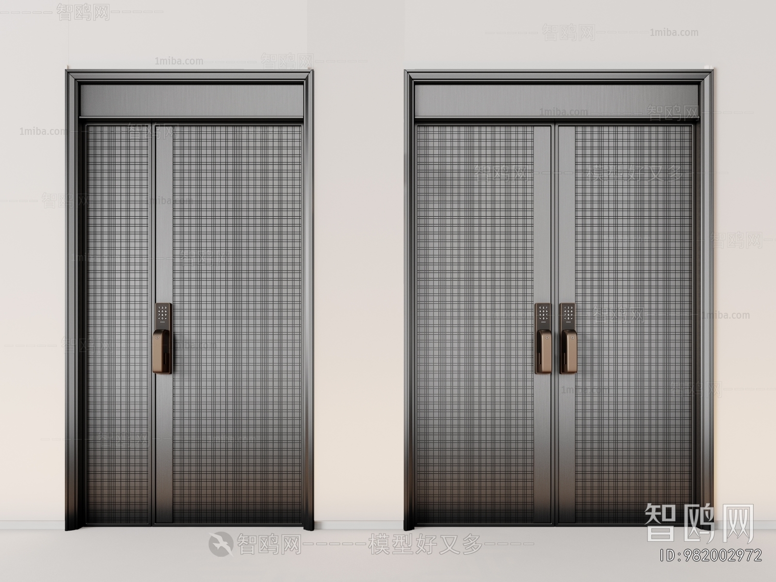 Modern Entrance Door