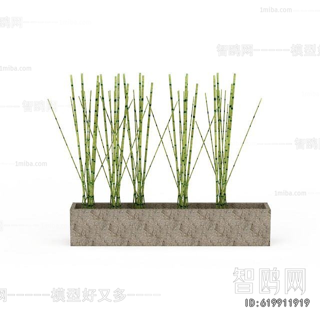 Modern Bamboo