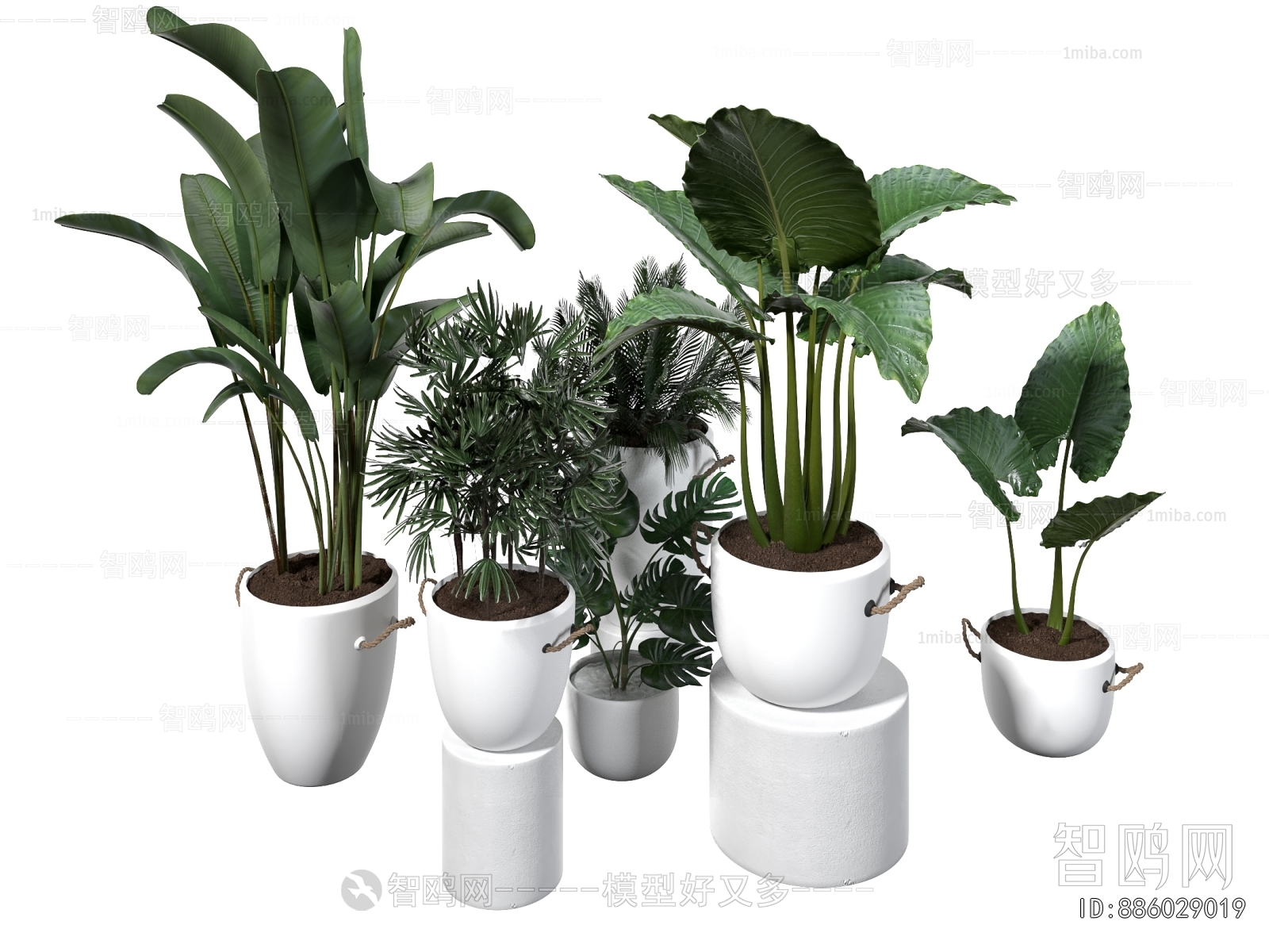 Modern Ground Green Plant Potted Plants