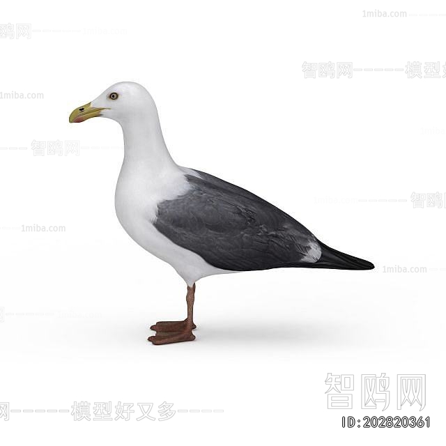 Modern Flying Animals