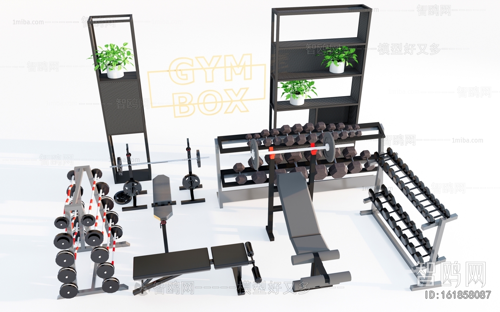 Modern Fitness Equipment