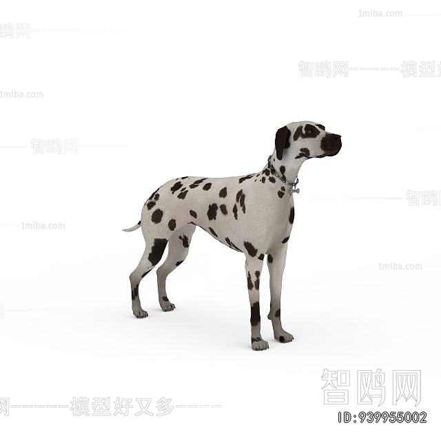 Modern Animal Dog