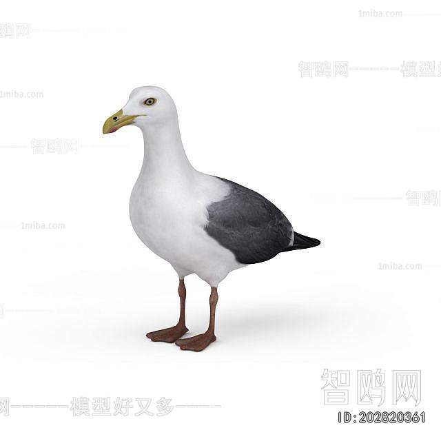 Modern Flying Animals