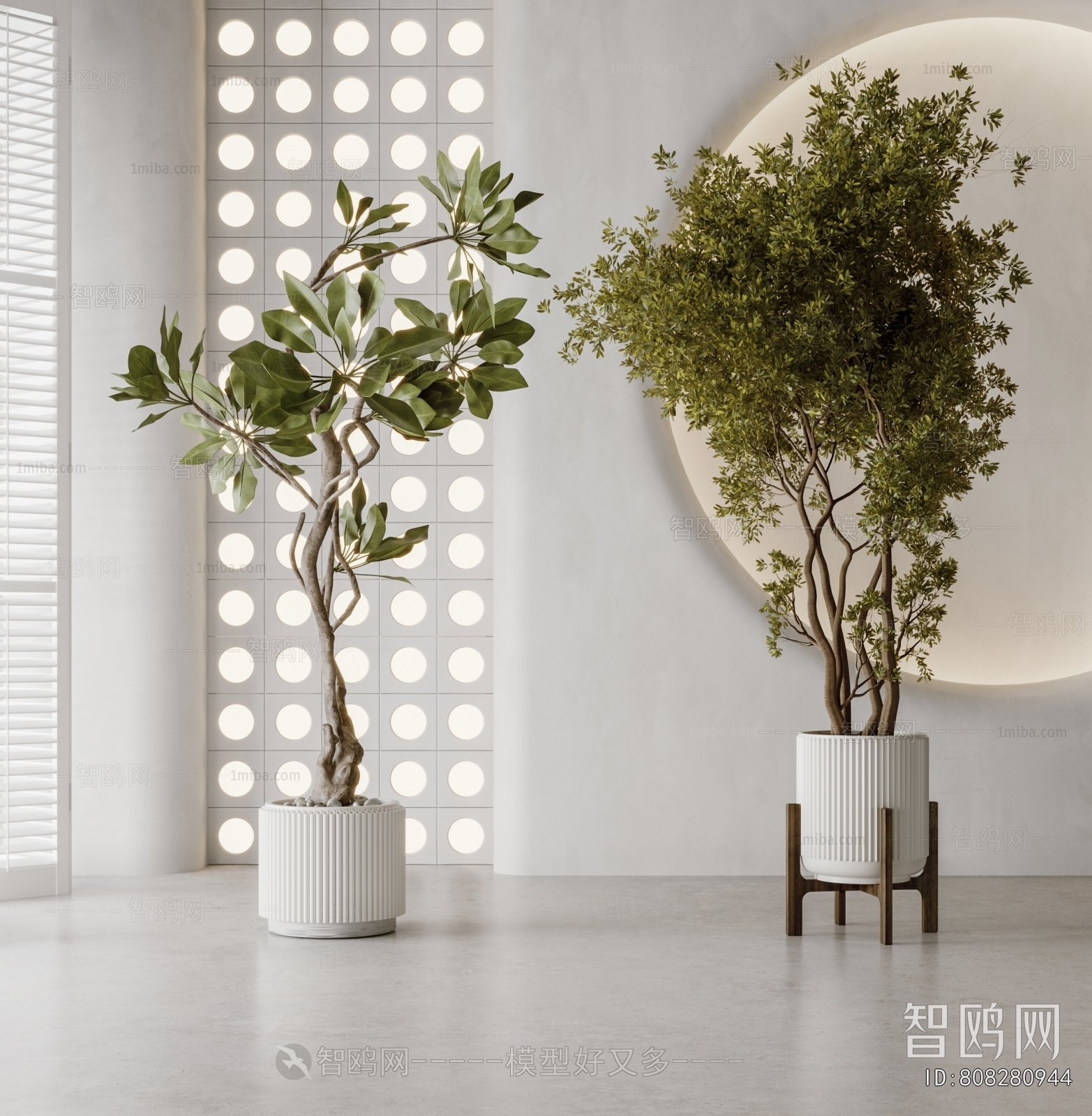 Modern Ground Green Plant Potted Plants
