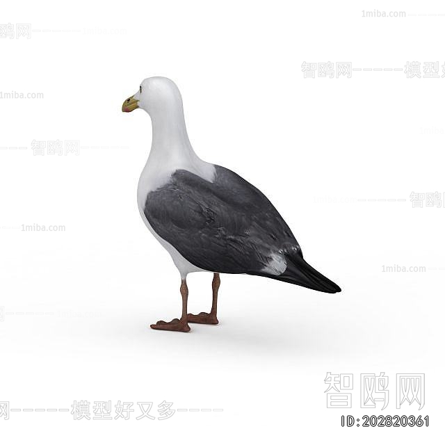 Modern Flying Animals