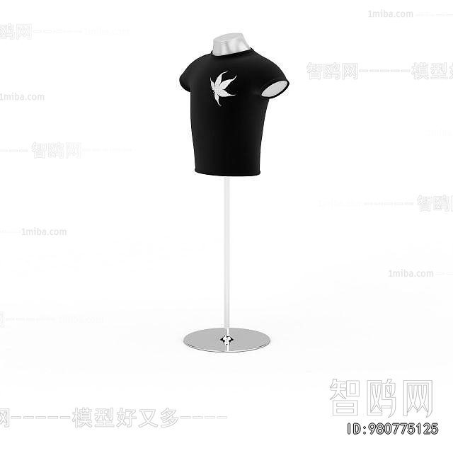 Modern Fashion Model