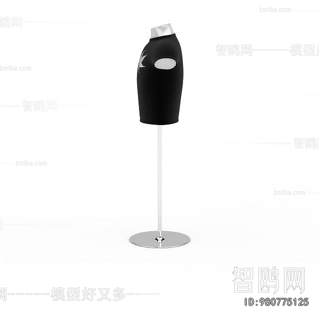 Modern Fashion Model