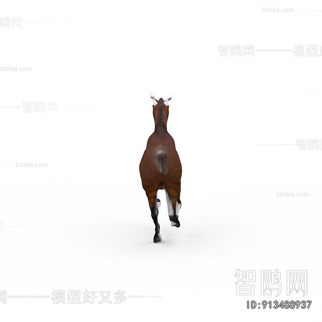 Modern Animal Horse