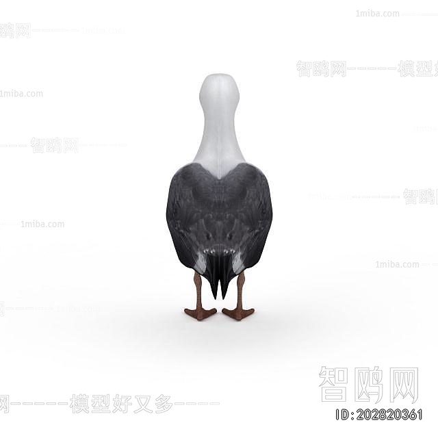 Modern Flying Animals