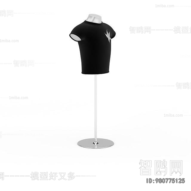 Modern Fashion Model