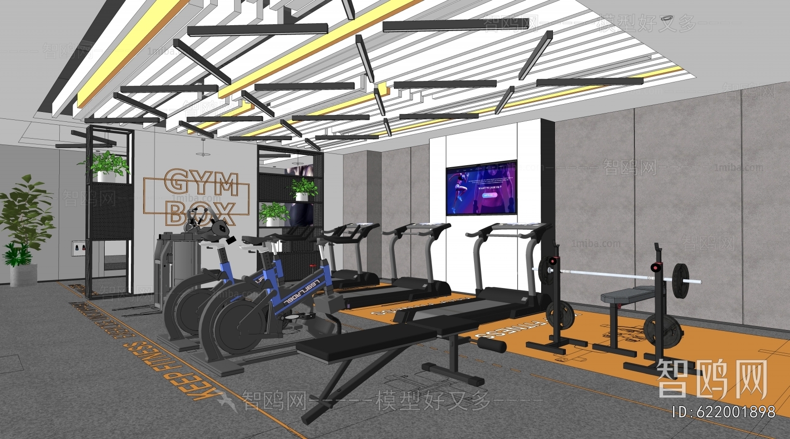 Modern Gym