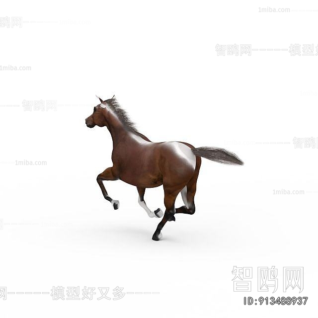 Modern Animal Horse