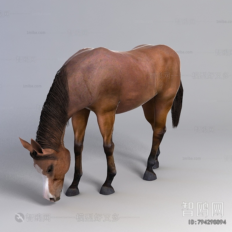 Modern Animal Horse