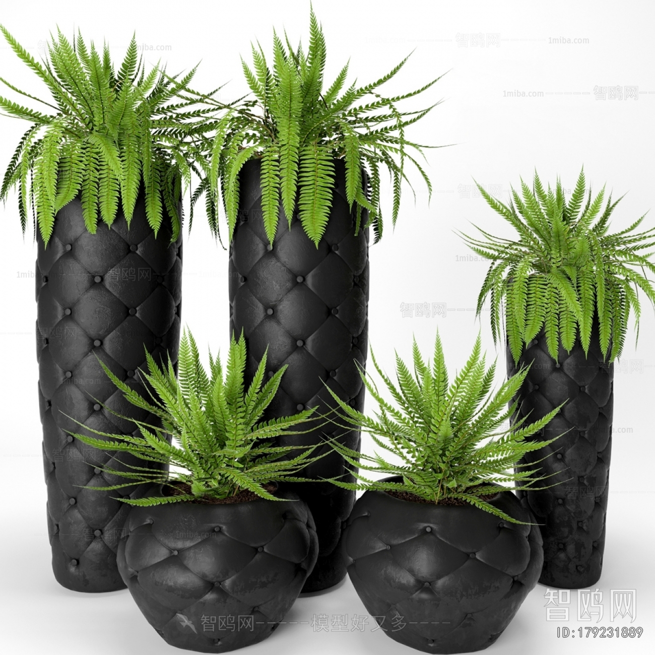 Modern Ground Green Plant Potted Plants