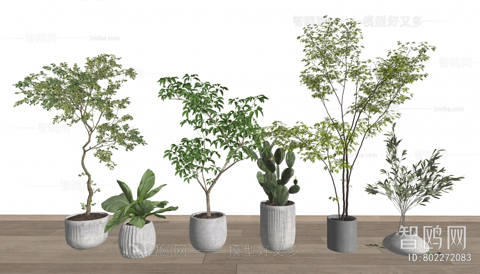 Modern Ground Green Plant Potted Plants