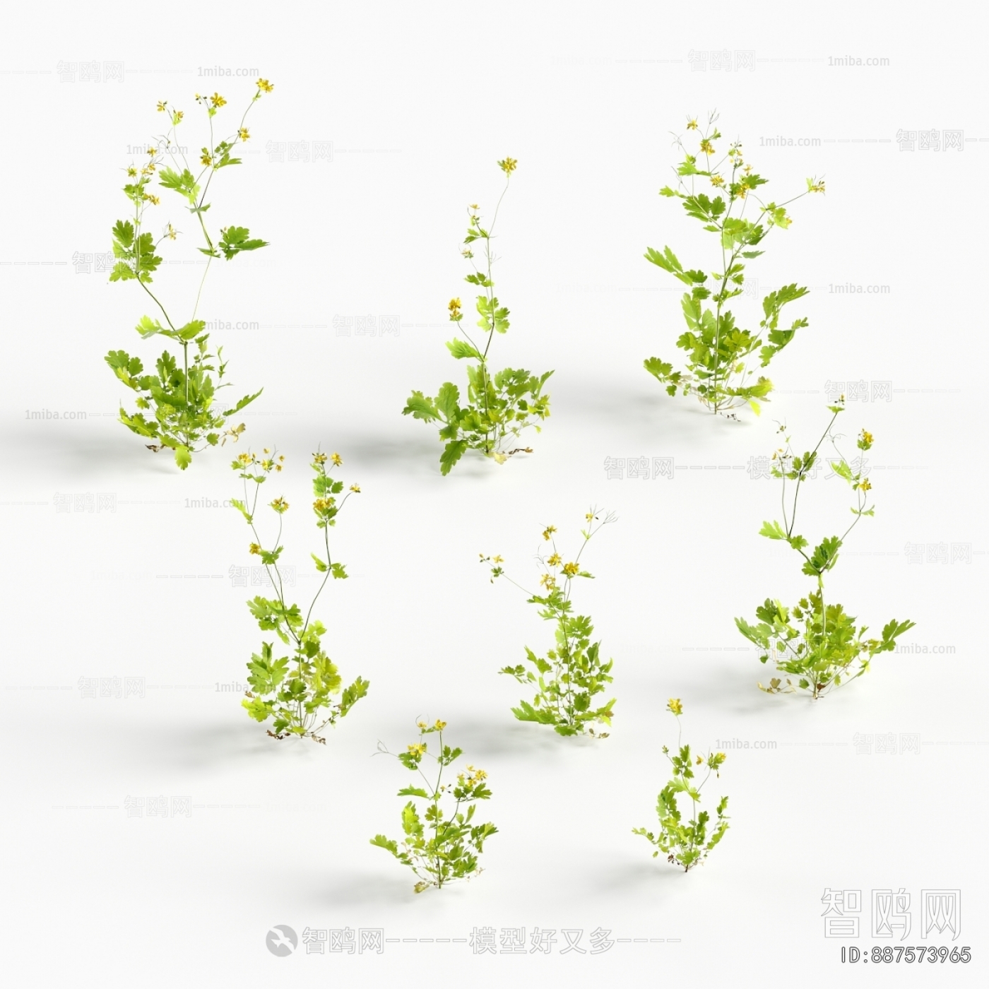 Modern Flowers And Grass