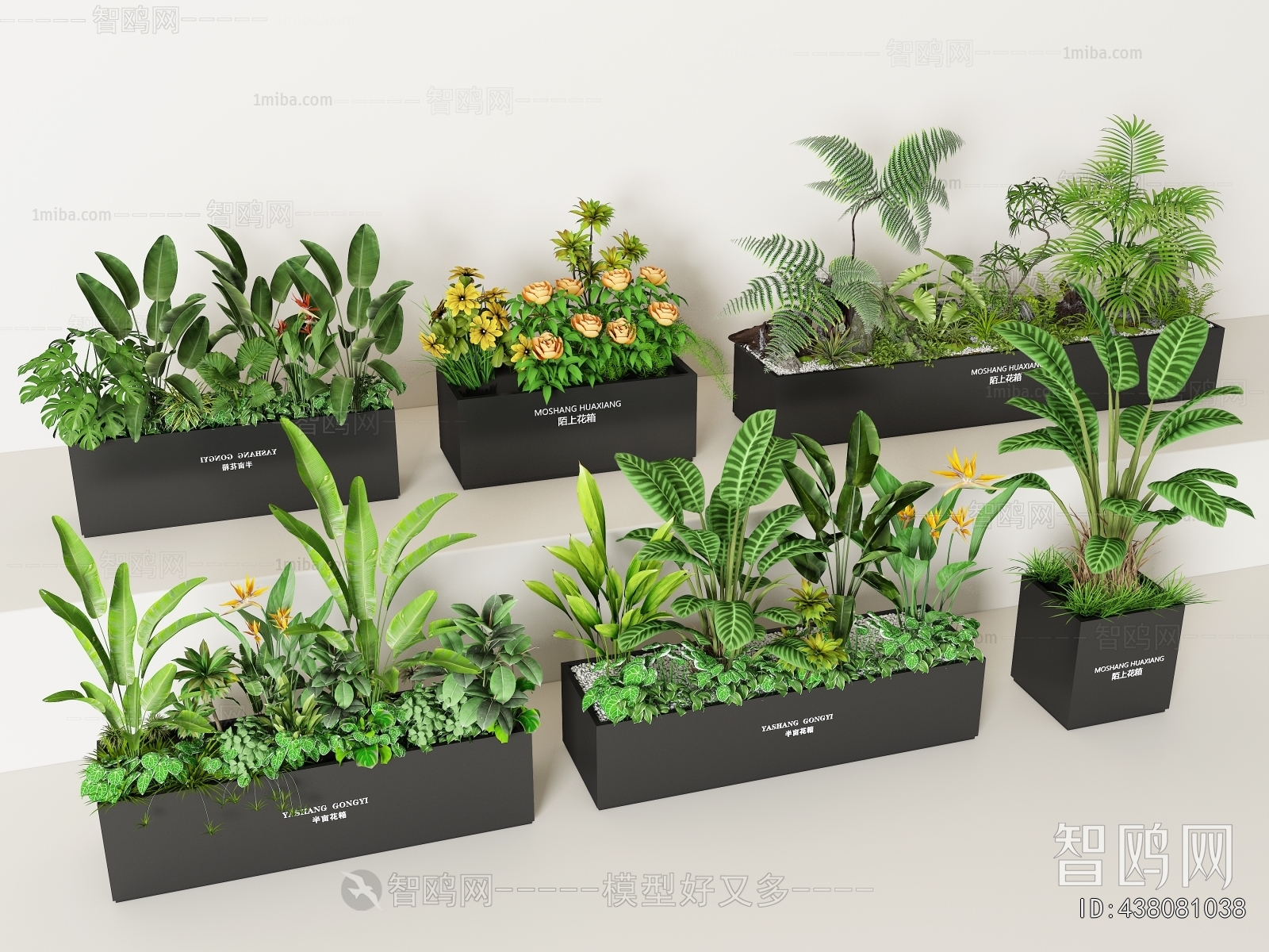 Modern Flower Bed, Flower Bowl, Flower Box