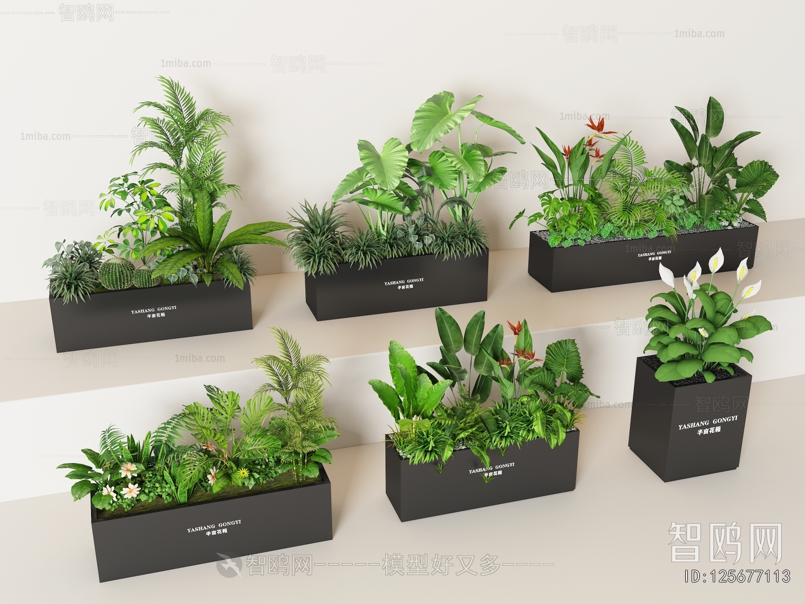 Modern Flower Bed, Flower Bowl, Flower Box