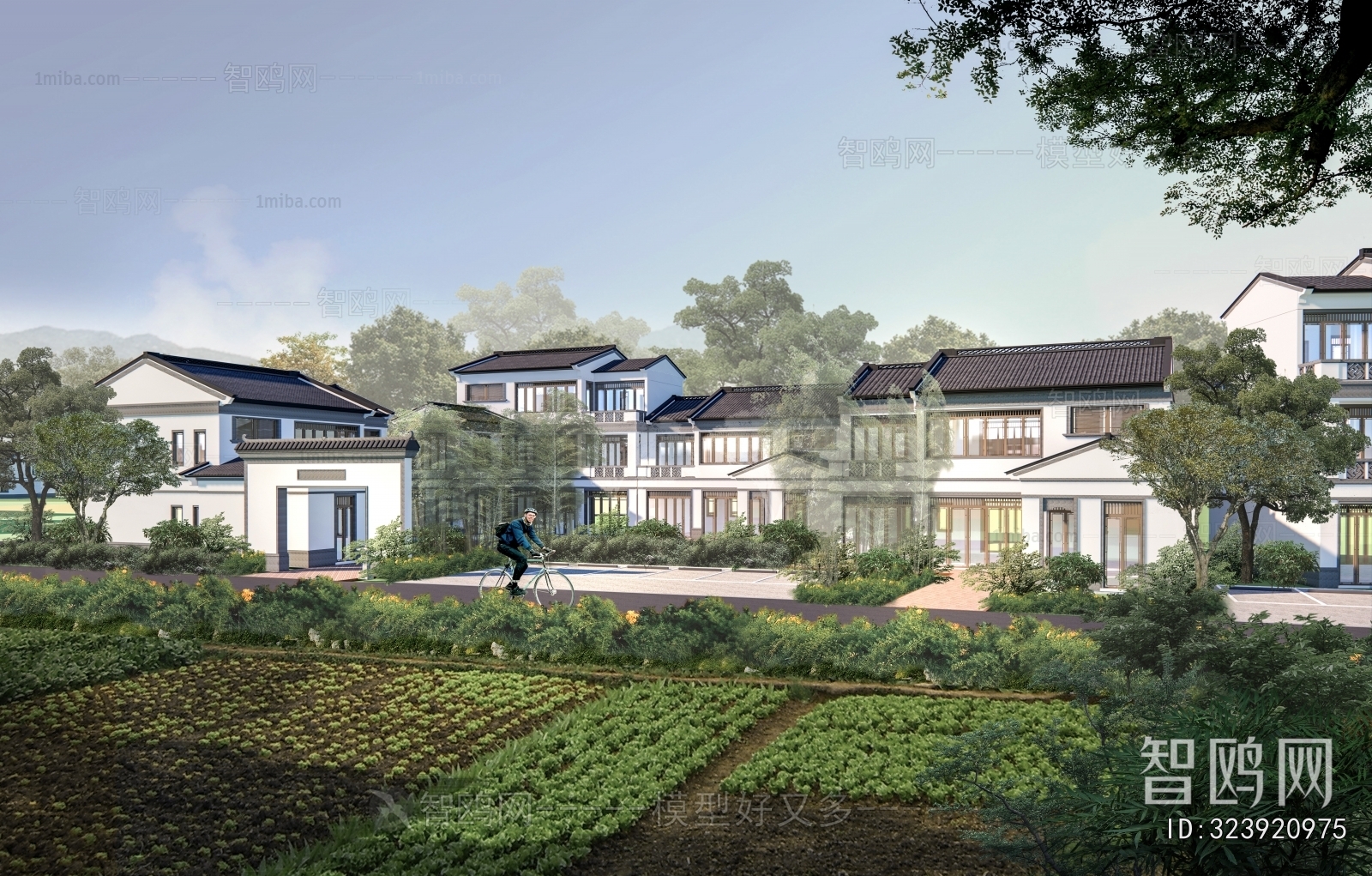 Modern Residential Building