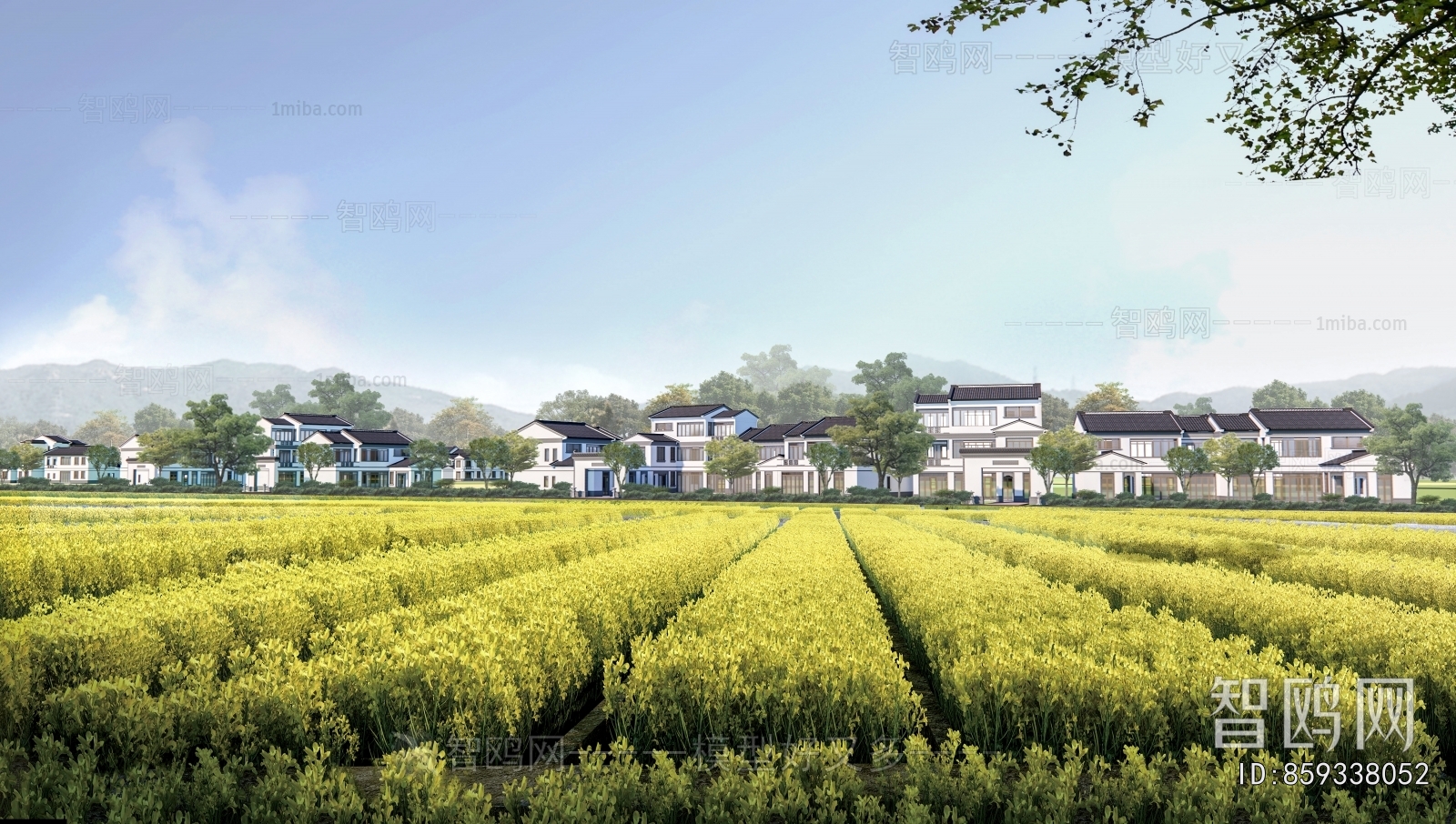 Modern Residential Building