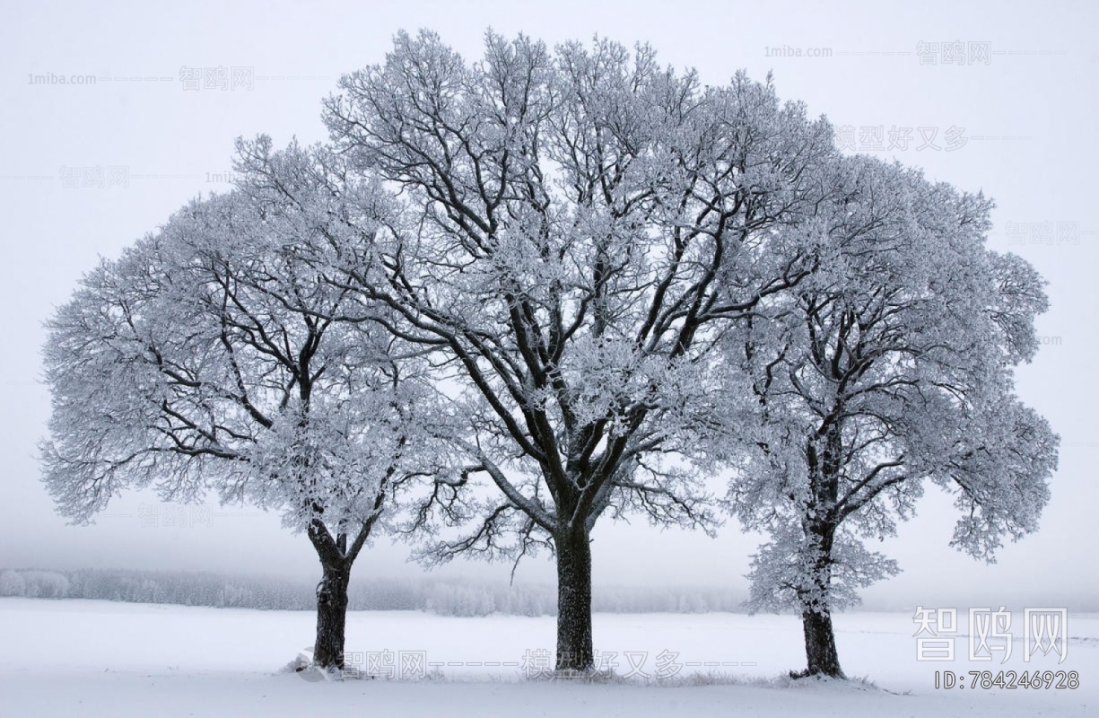 Animal And Plant Pattern Wallpaper