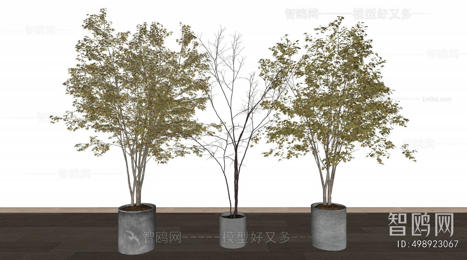 Modern Ground Green Plant Potted Plants