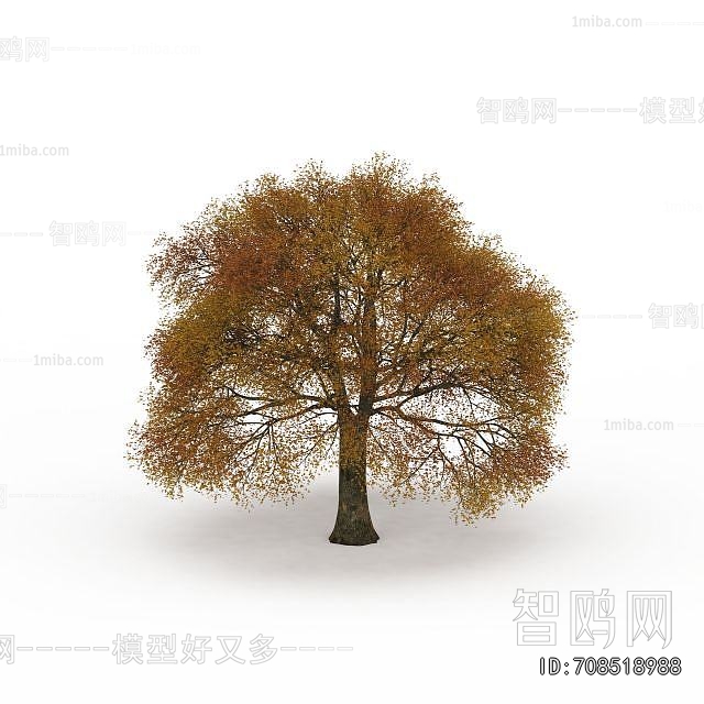 Modern Tree