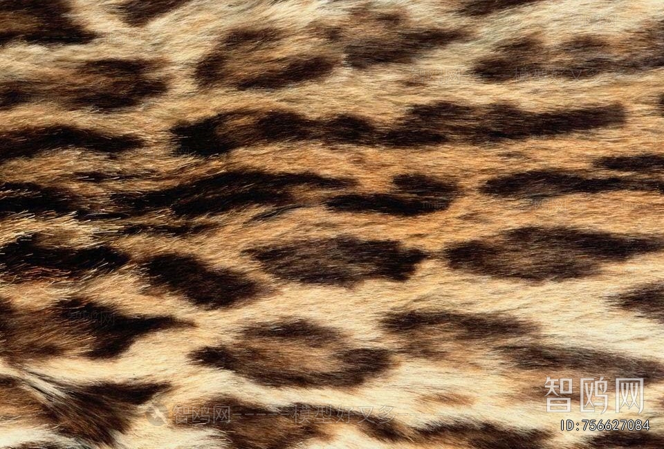 Animal Carpet