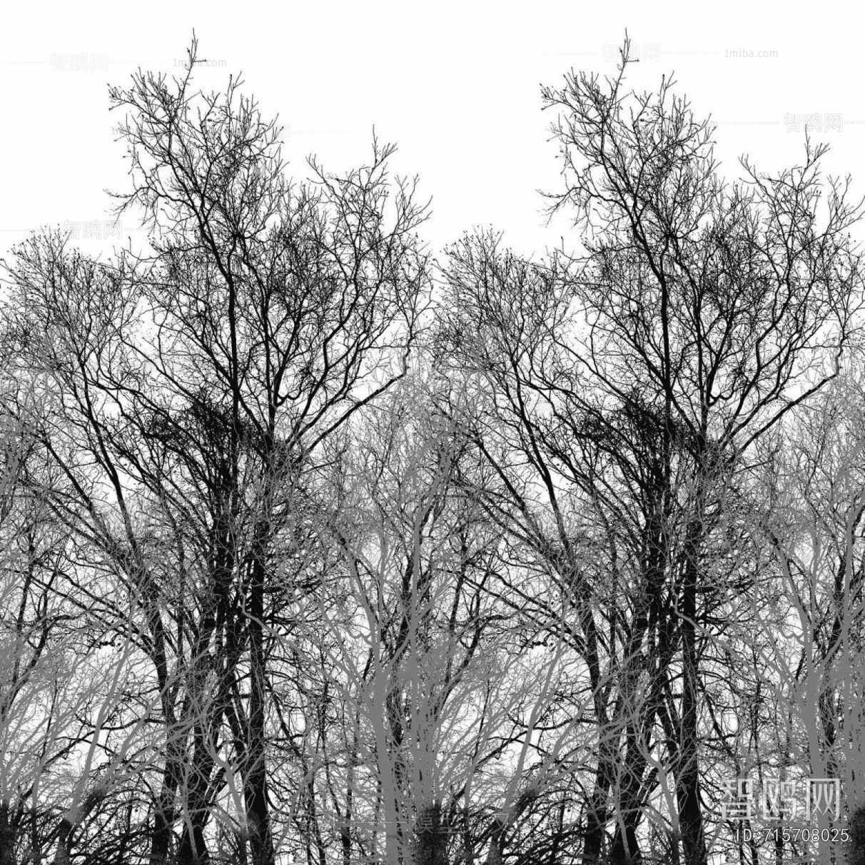 Animal And Plant Pattern Wallpaper