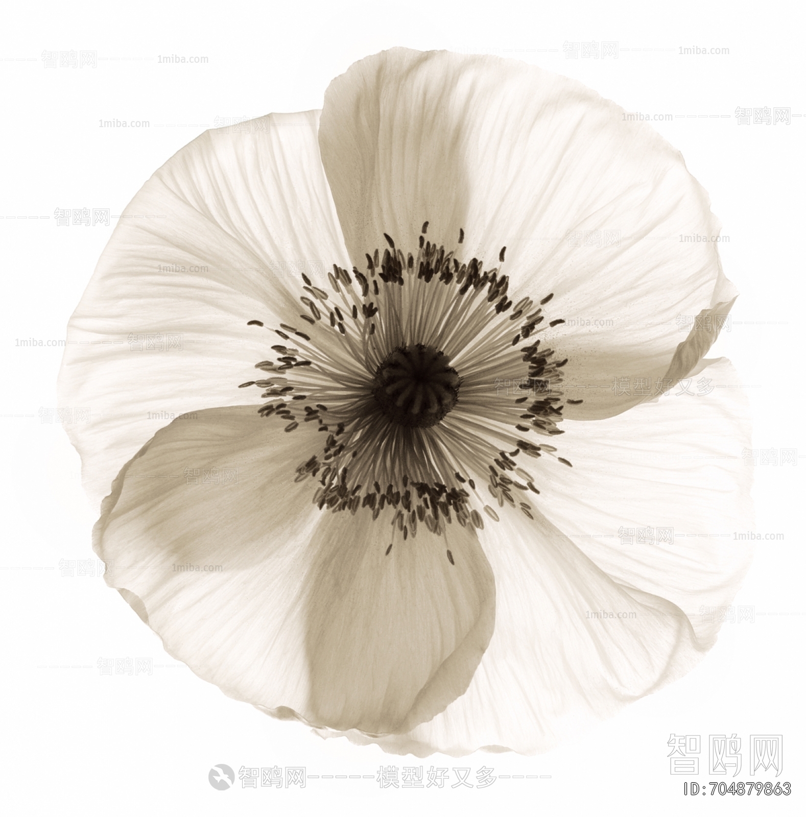 Animal And Plant Pattern Wallpaper