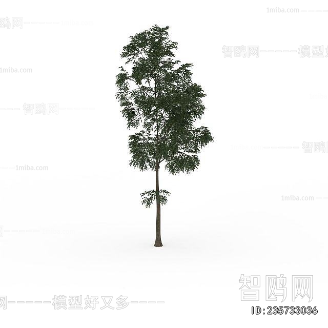 Modern Tree