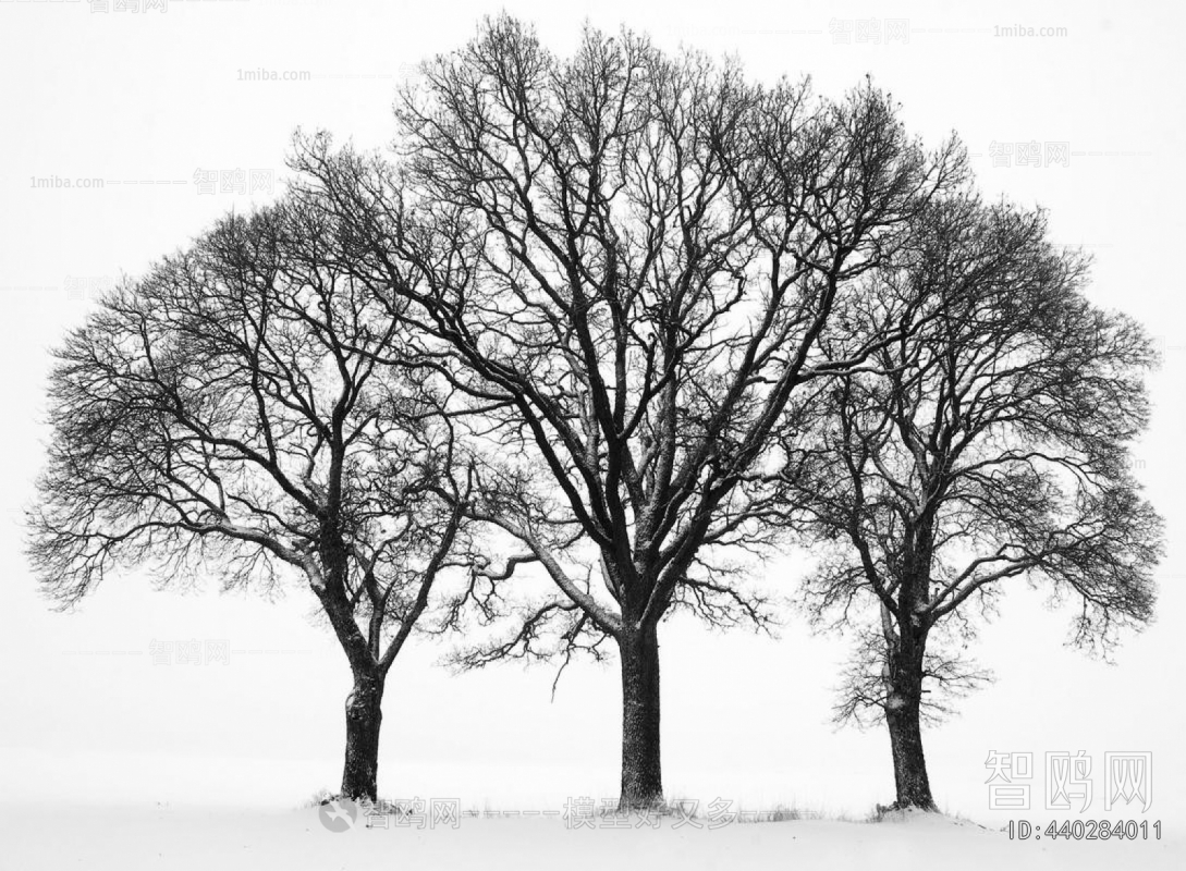 Animal And Plant Pattern Wallpaper