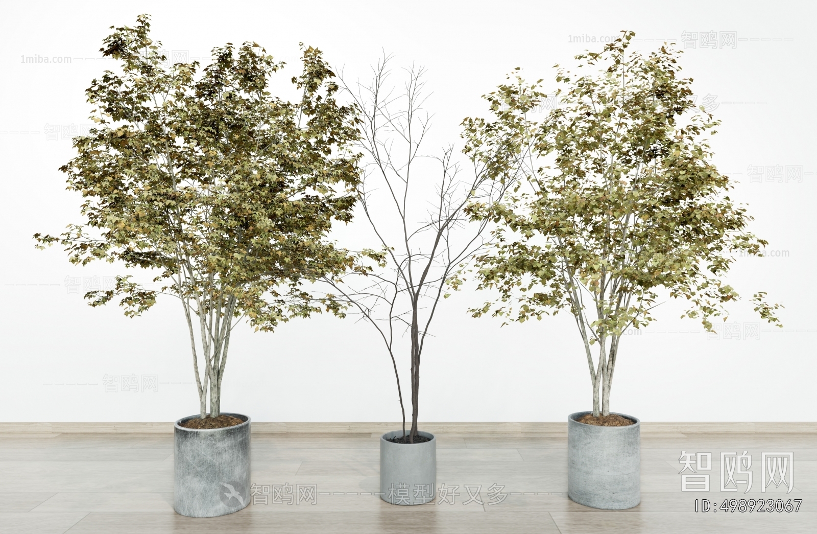 Modern Ground Green Plant Potted Plants