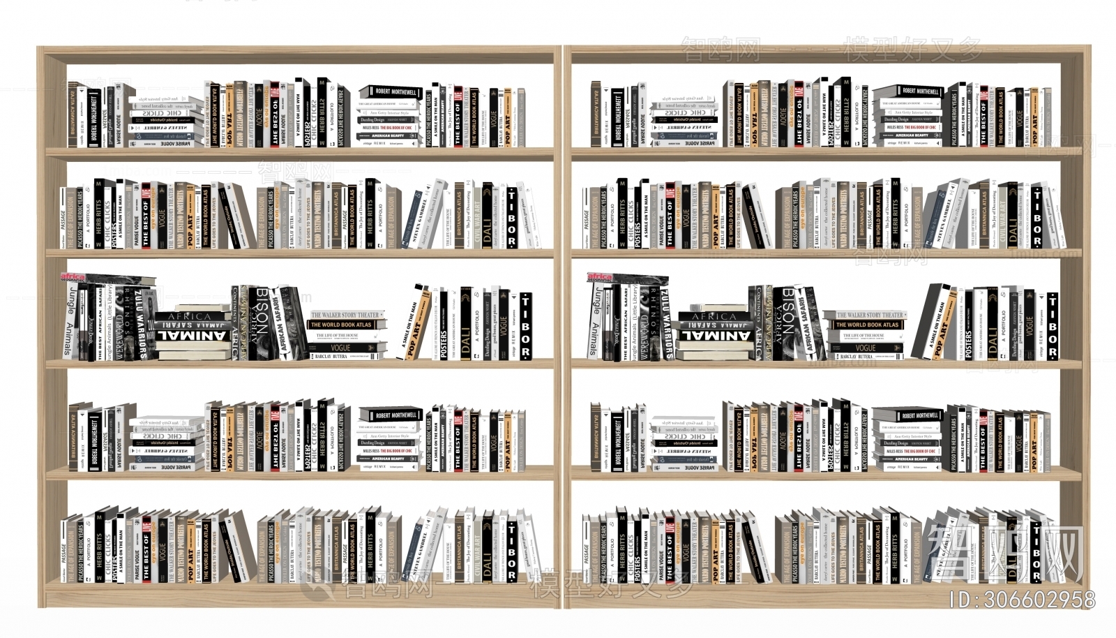 Modern Bookshelf
