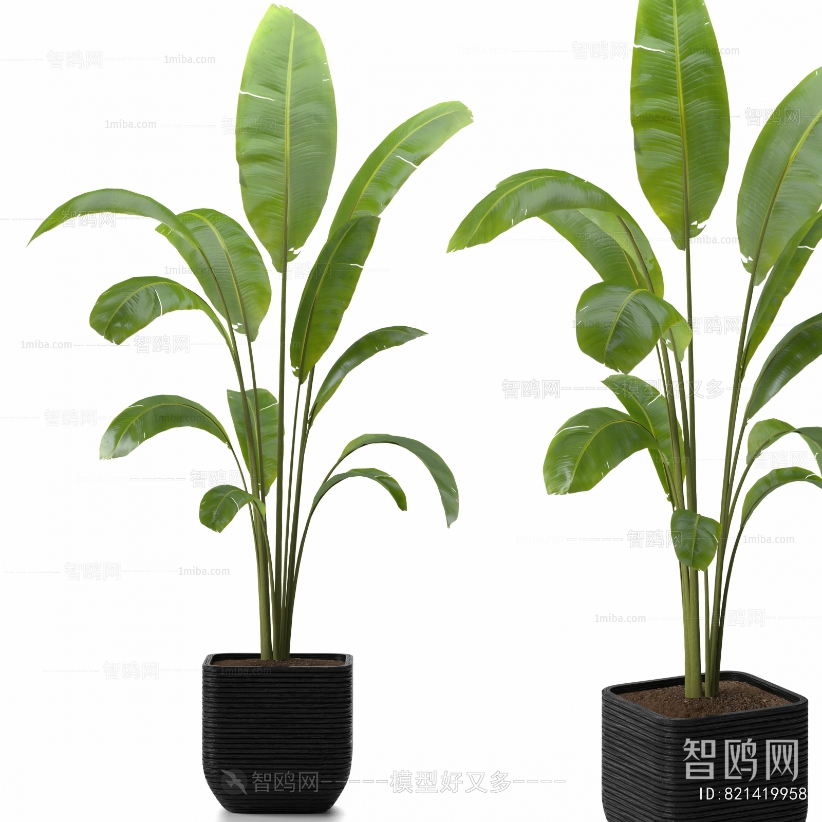 Modern Ground Green Plant Potted Plants