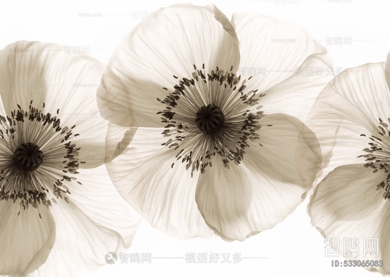 Animal And Plant Pattern Wallpaper