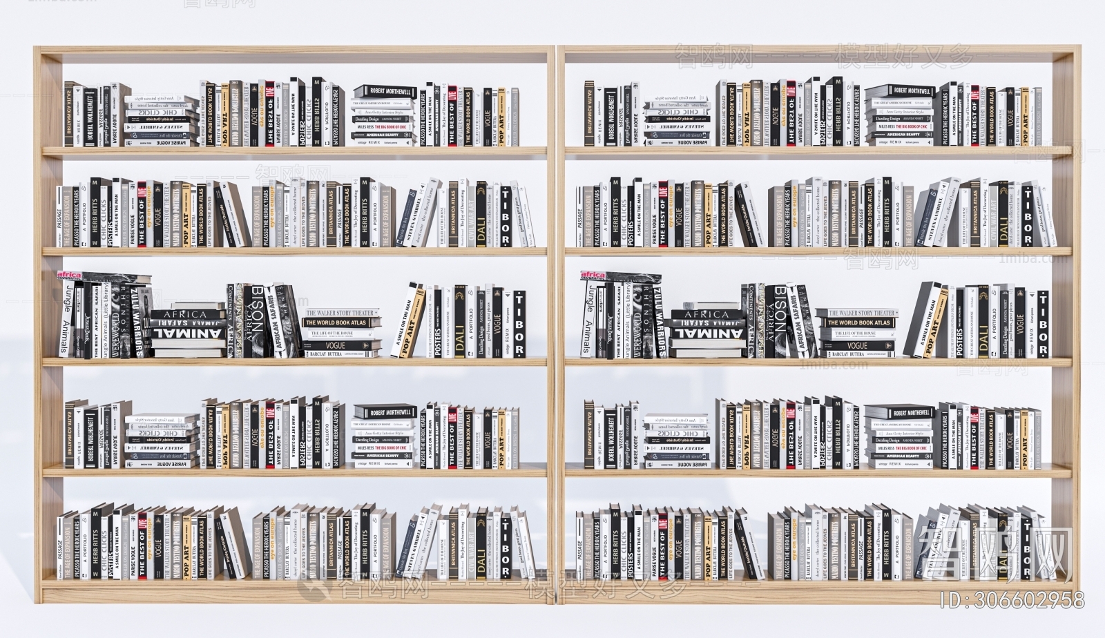 Modern Bookshelf