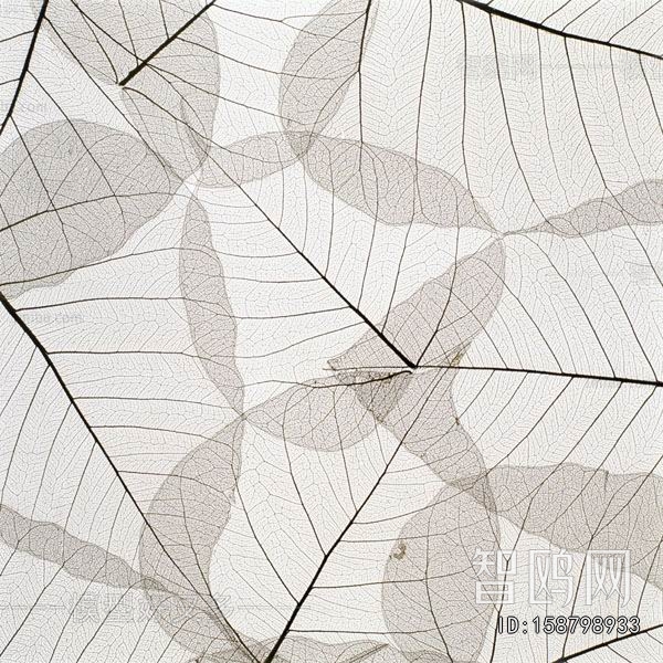 Animal And Plant Pattern Wallpaper