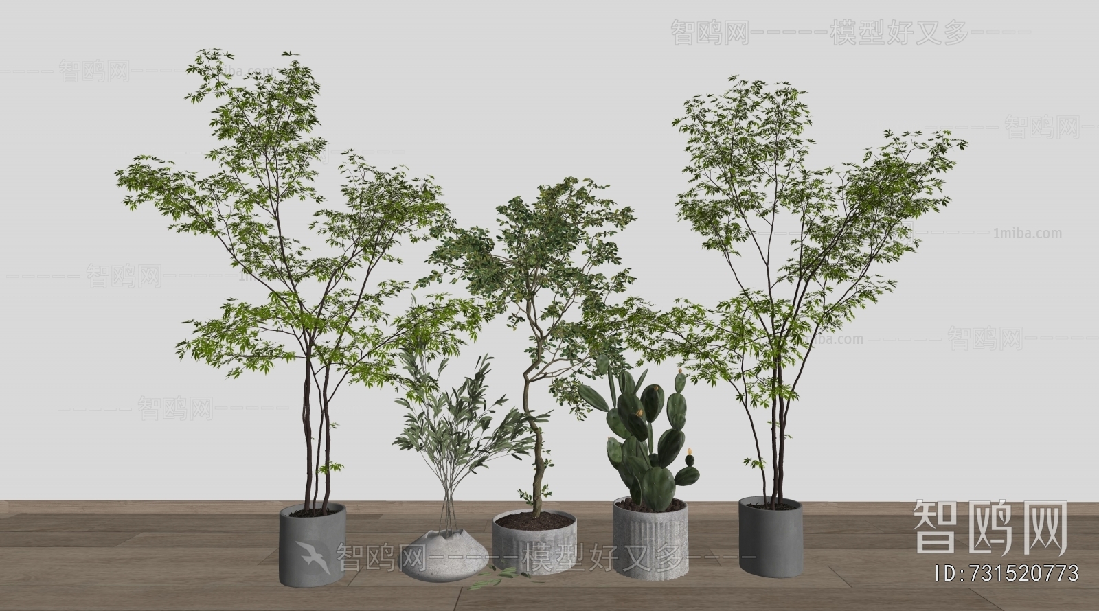 Modern Ground Green Plant Potted Plants