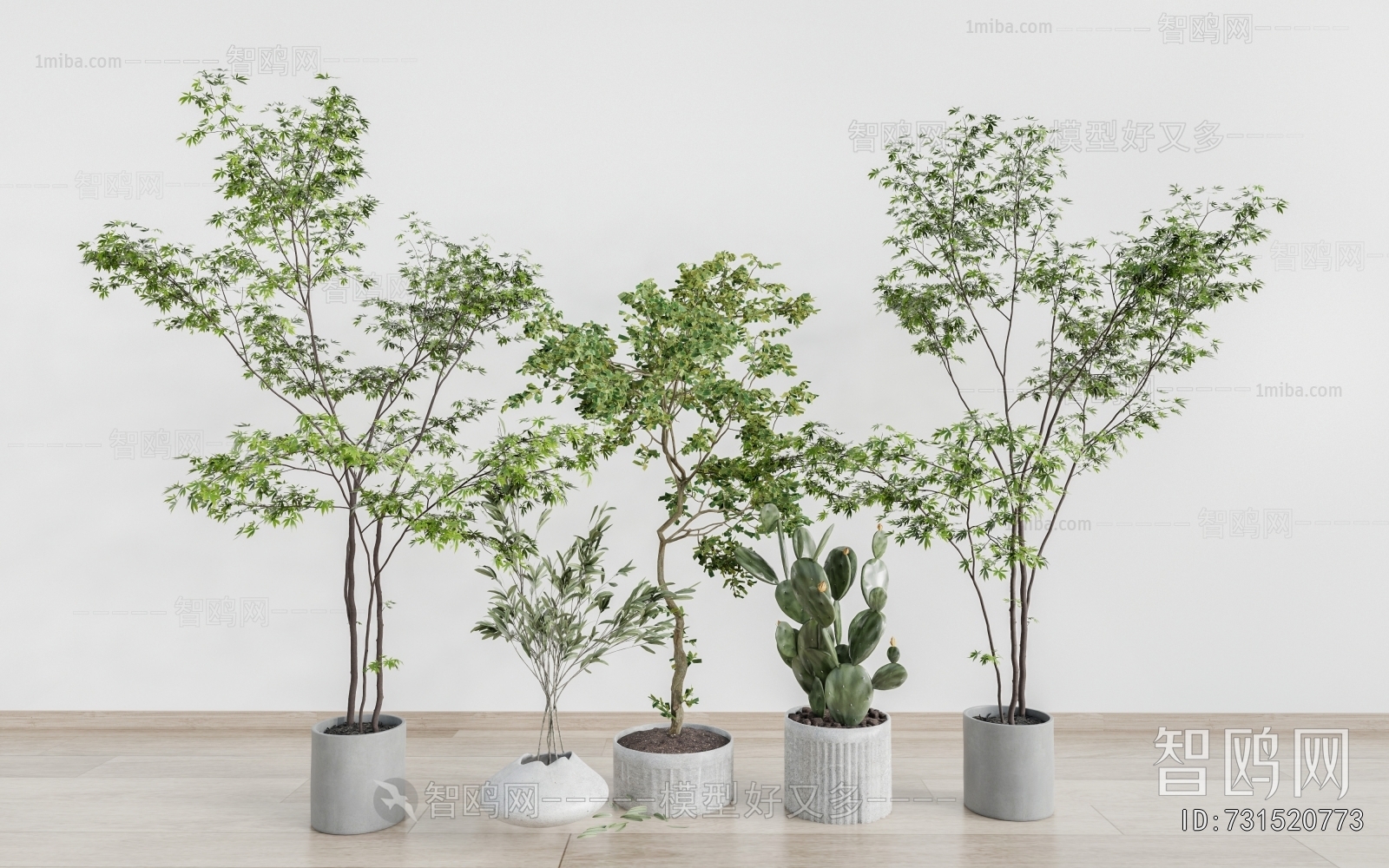 Modern Ground Green Plant Potted Plants