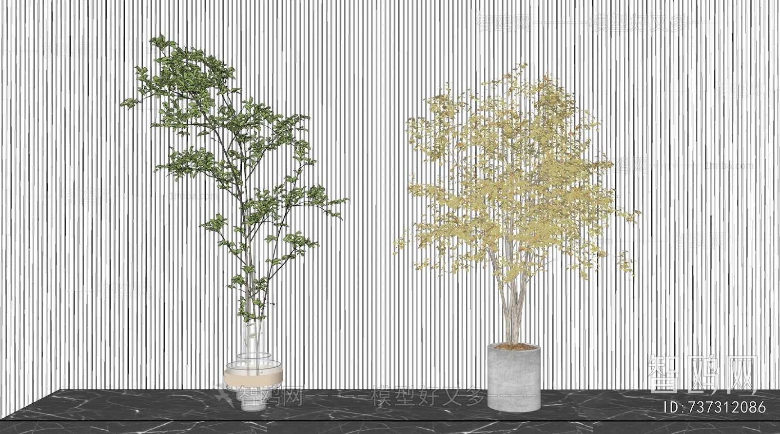 Modern Ground Green Plant Potted Plants