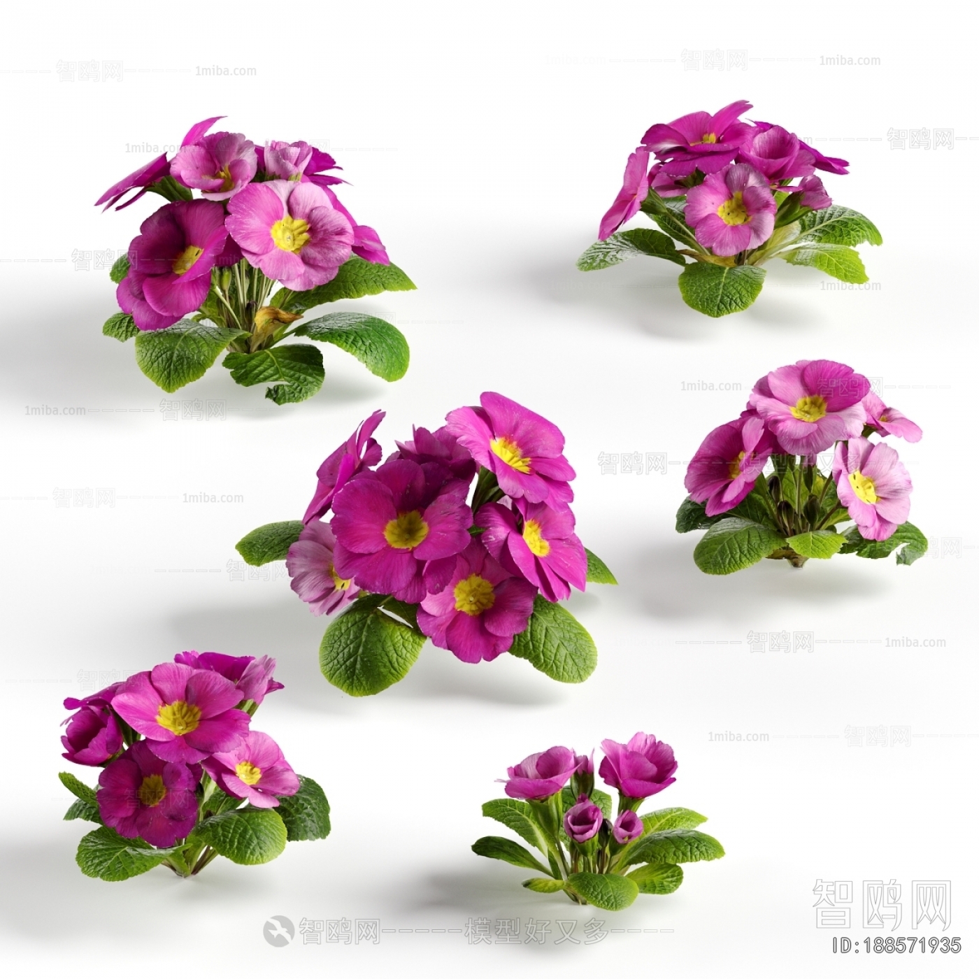 Modern Flowers And Grass