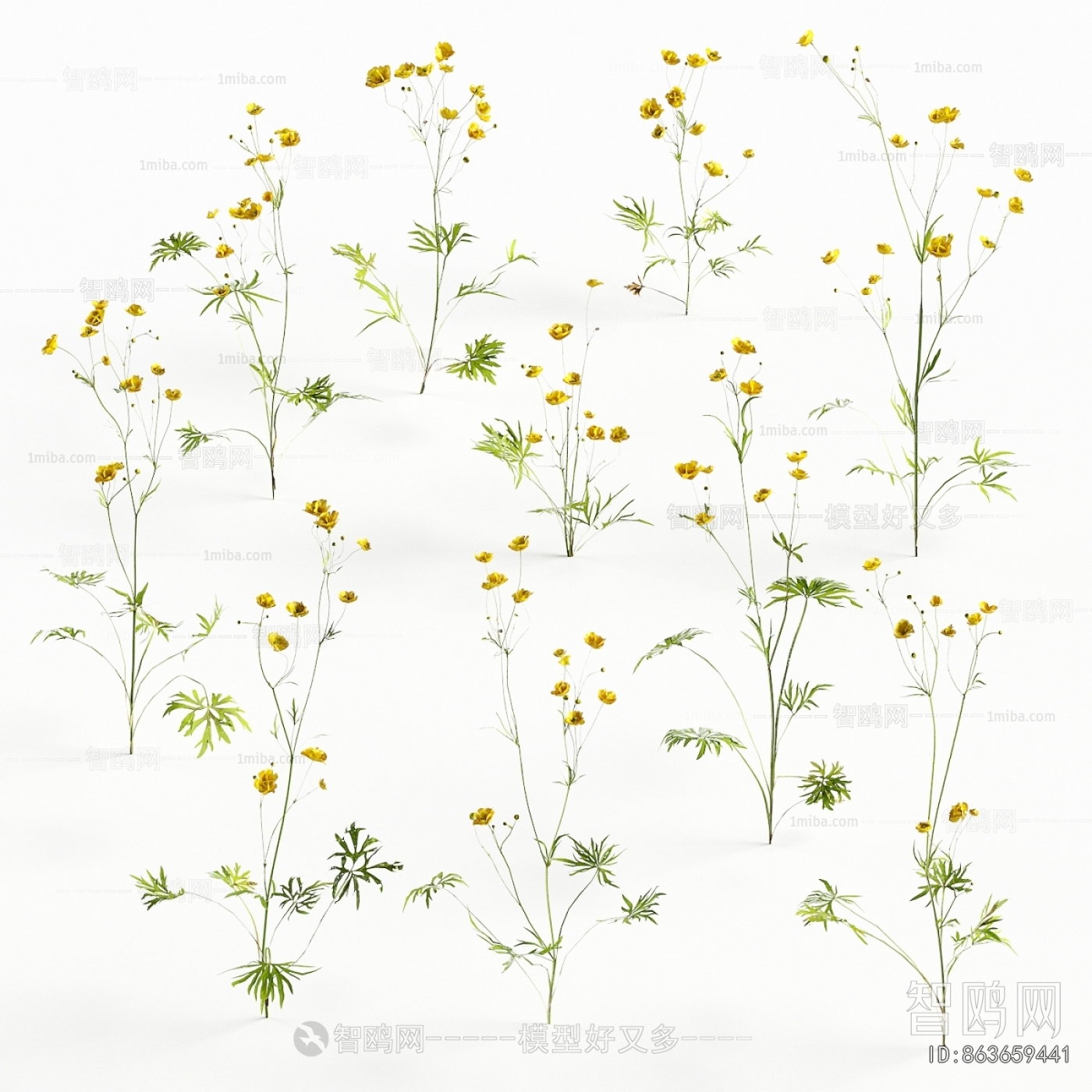 Modern Flowers And Grass