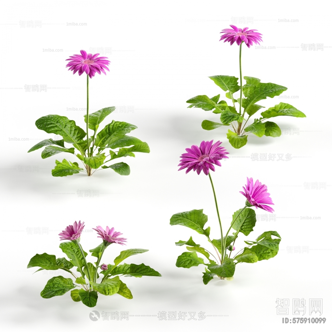 Modern Flowers And Grass