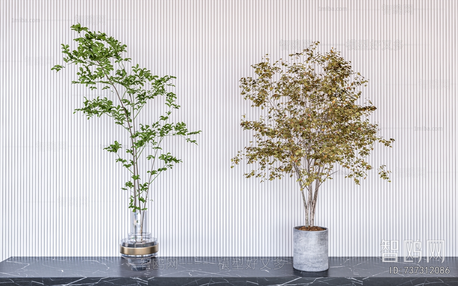 Modern Ground Green Plant Potted Plants