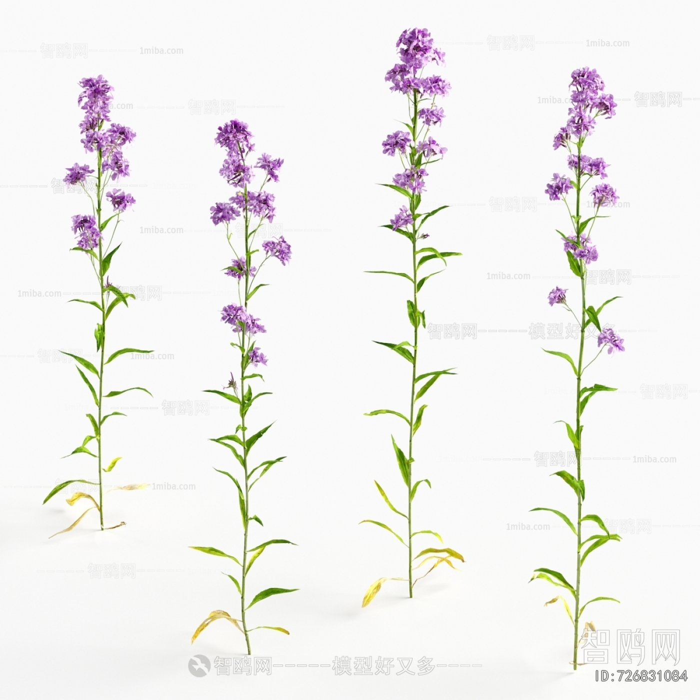 Modern Flowers And Grass