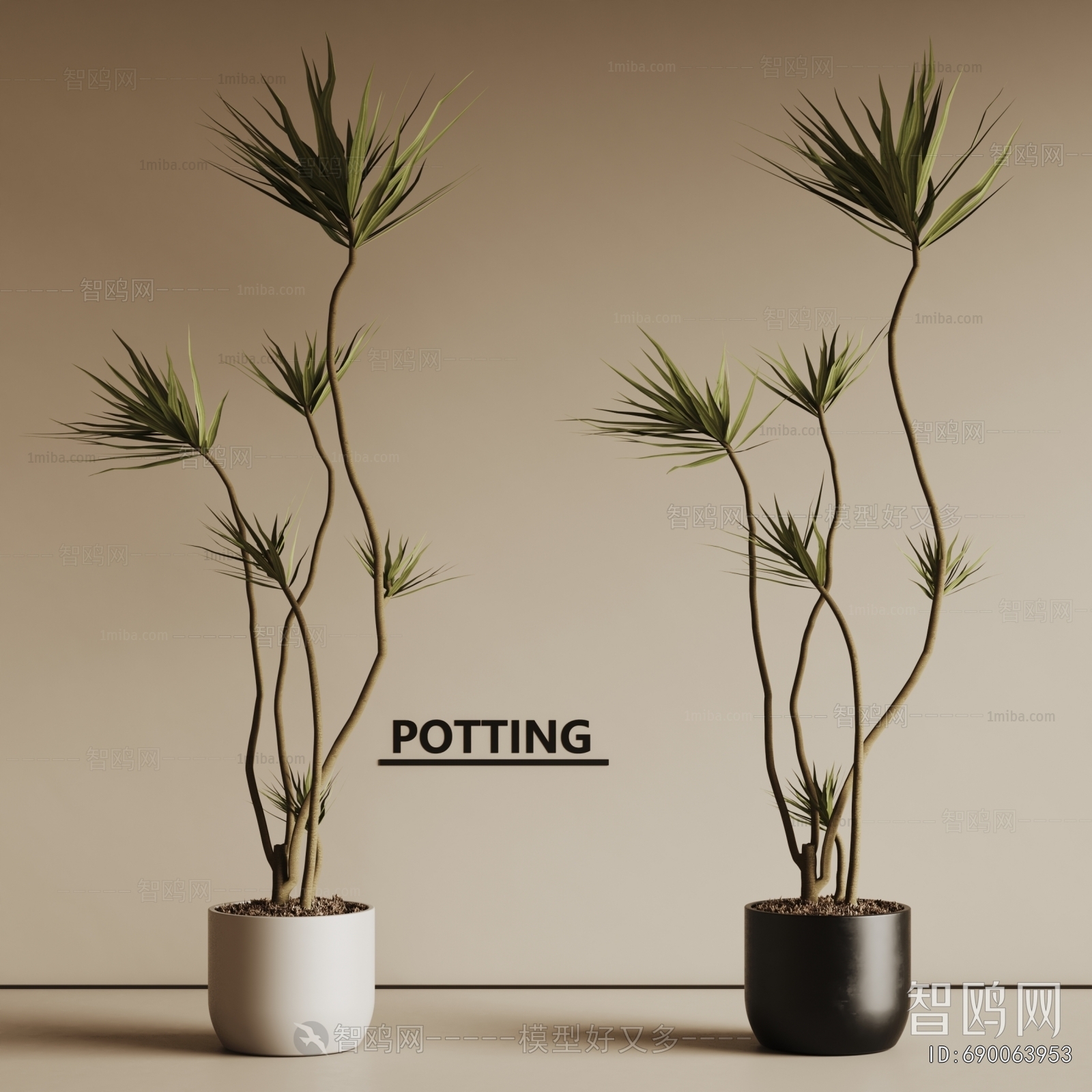 Modern Ground Green Plant Potted Plants