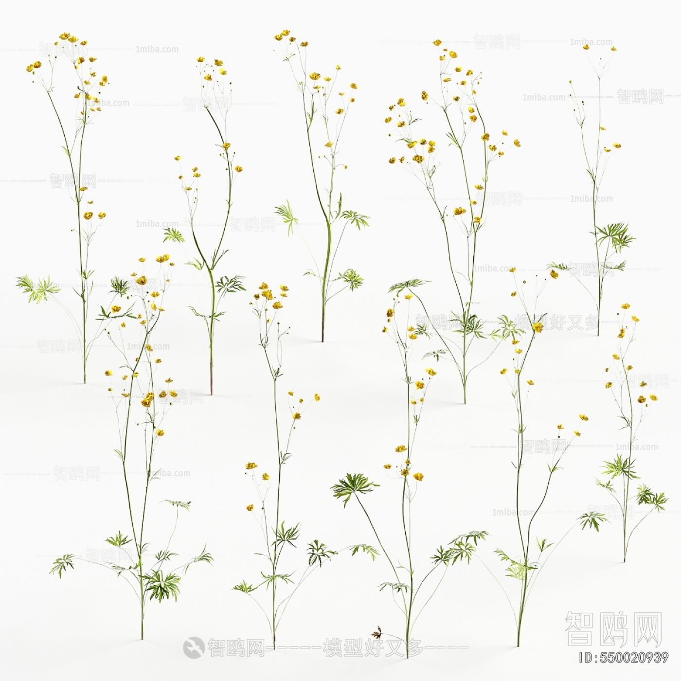 Modern Flowers And Grass