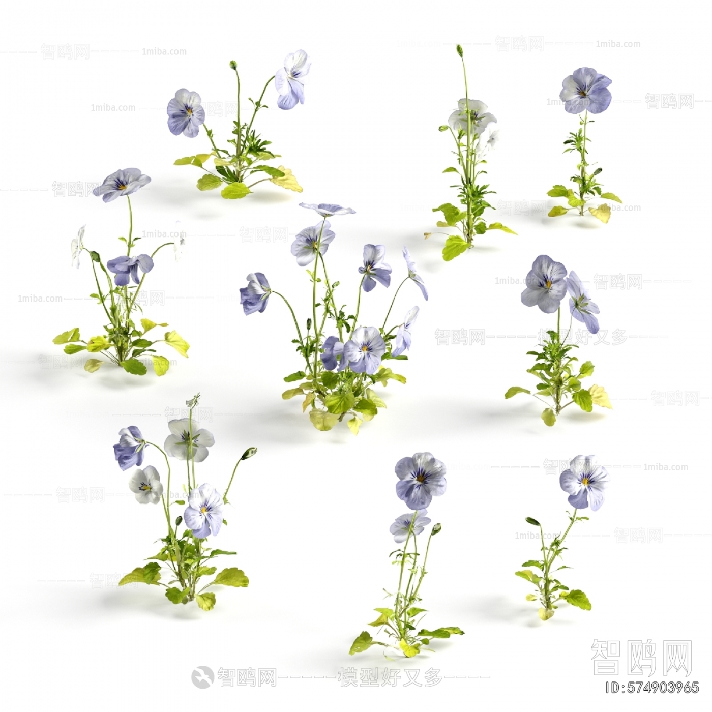 Modern Flowers And Grass